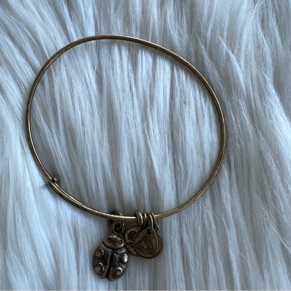Alex and Ani Rafaelian Gold Ladybug Charm Bangle Bracelet